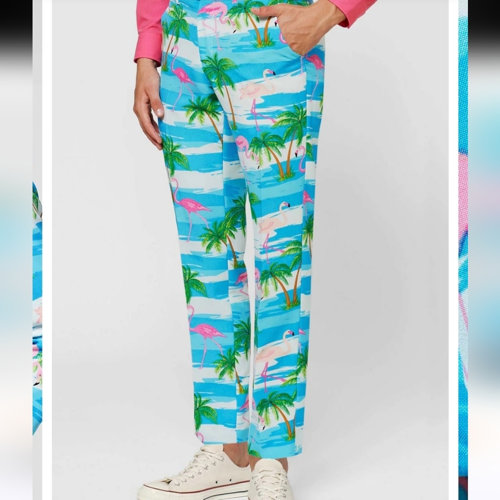 Opposuits Flaminguy pants US 42